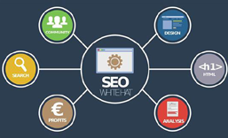 广州网站SEO 优化  推广